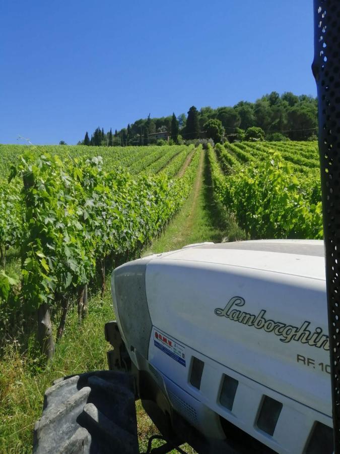Antico Borgo di Sugame Greve in Chianti Exterior foto